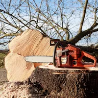 chainsaw-4815949_1280.jpg