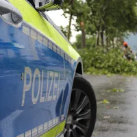 umgestürzter Baum.jpg